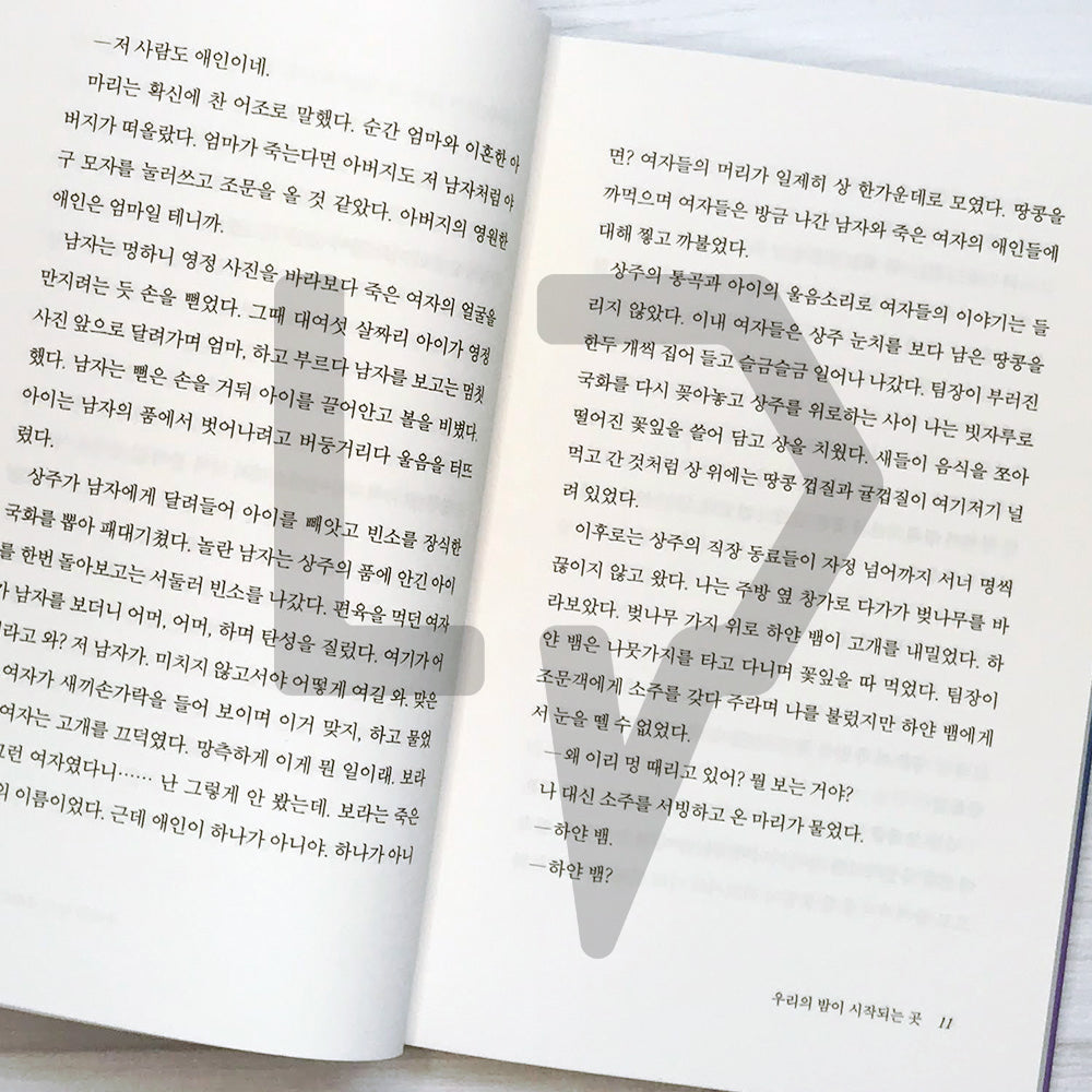 Where our night begins 우리의 밤이 시작되는 곳 - Life Pattern Korea