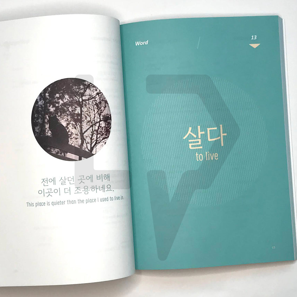 The Korean Verbs Guide 한국어 학습자가 반드시 알아야 할 동사 가이드 - Life Pattern Korea