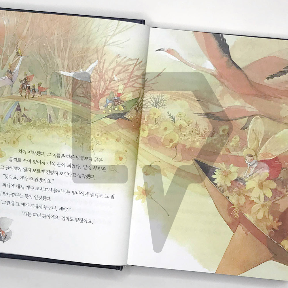 Peter Pan 피터 팬 - Life Pattern Korea