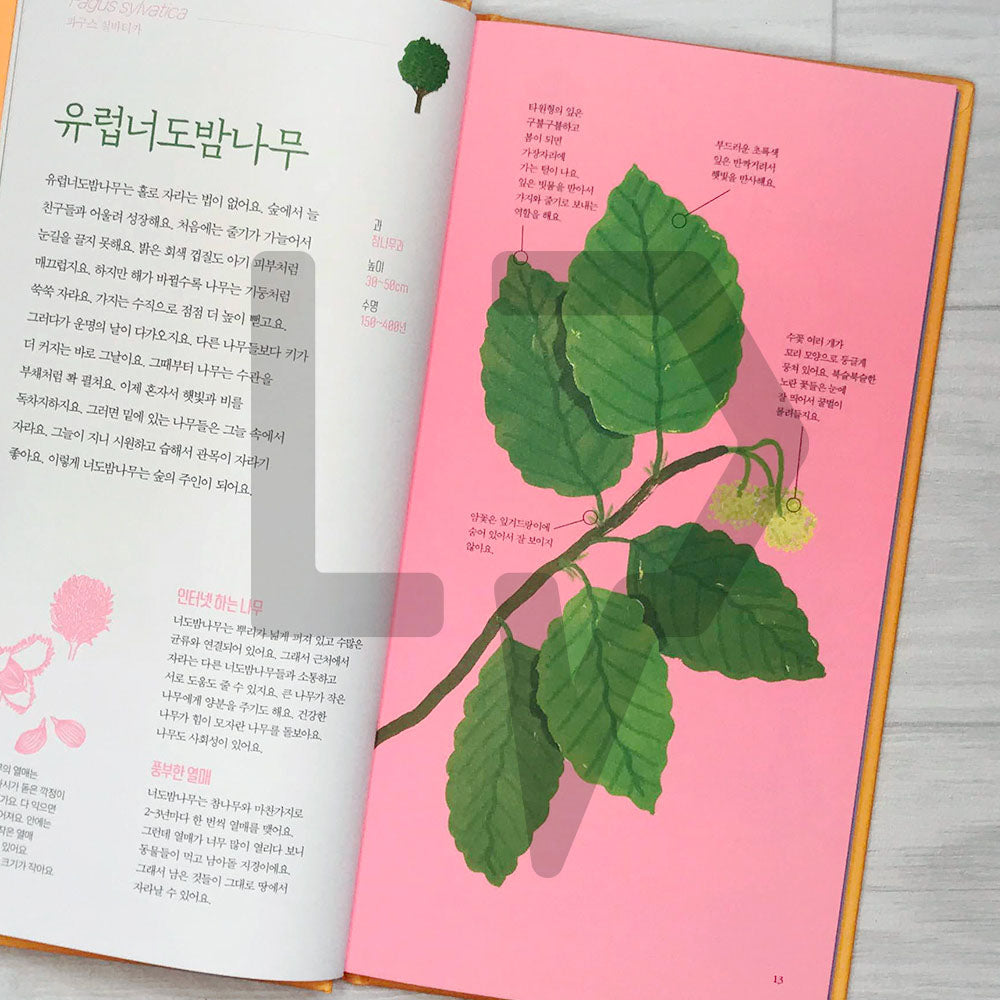 The Place of Trees (Arbres d'ici et d'ailleurs) 나무의 자리