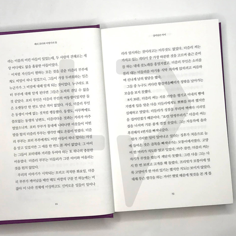 Harry Potter and the Sorcerer's Stone (20th Anniversary) 해리 포터와 마법사의 돌 (20주년 개정판)