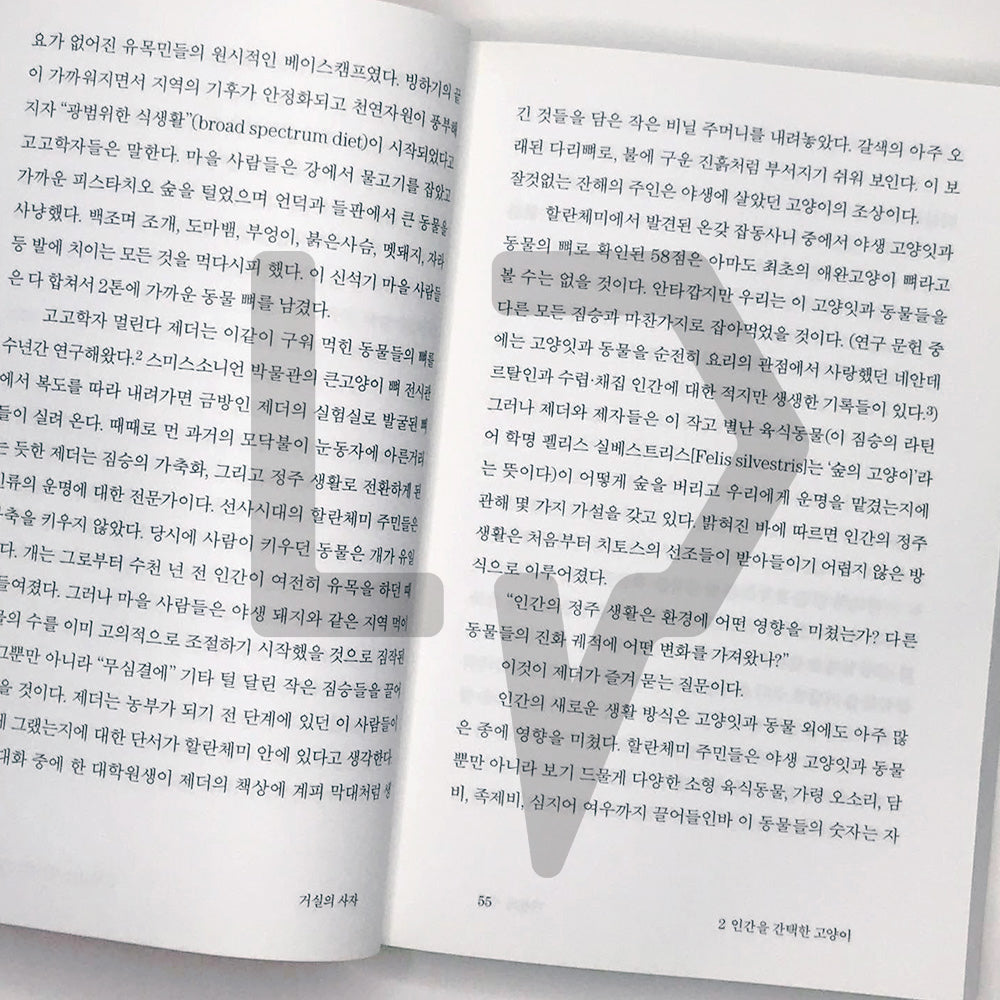 The Lion in the Living Room 거실의 사자 - Life Pattern Korea
