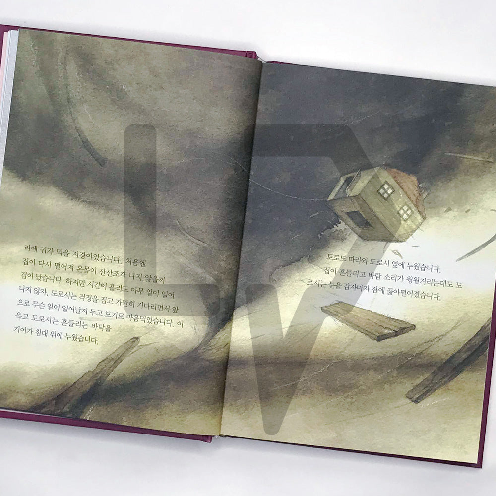 The Wonderful Wizard of Oz 오즈의 마법사 - Life Pattern Korea