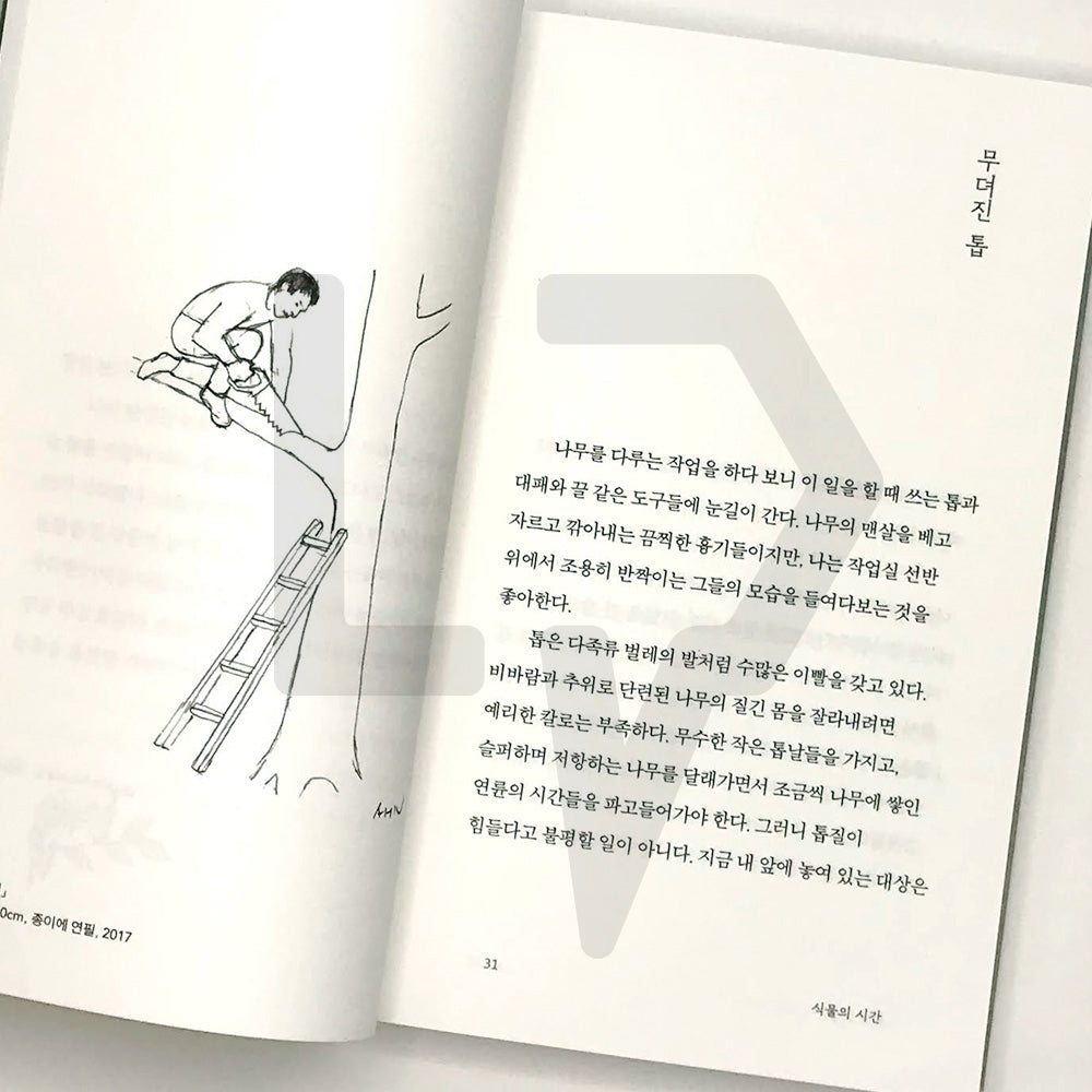 The Other Side of Things 사물의 뒷모습 - Life Pattern Korea