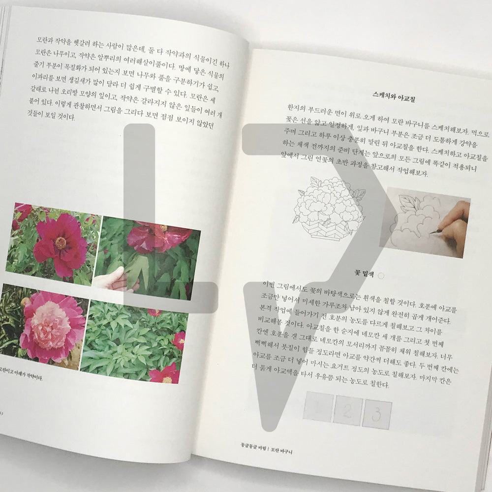 Modern Minhwa (Korean Folk Art) Class 모던민화 수업 - Life Pattern Korea