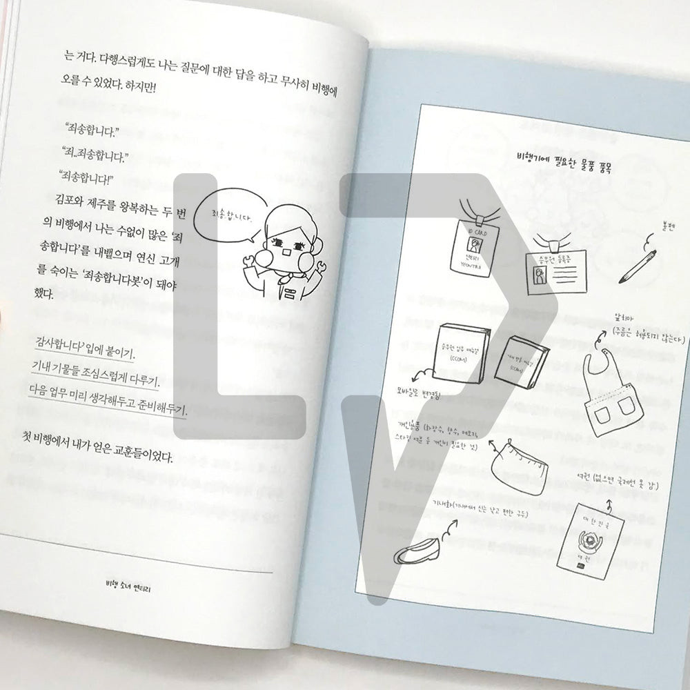 How come, flight attendant 어쩌다, 승무원 - Life Pattern Korea