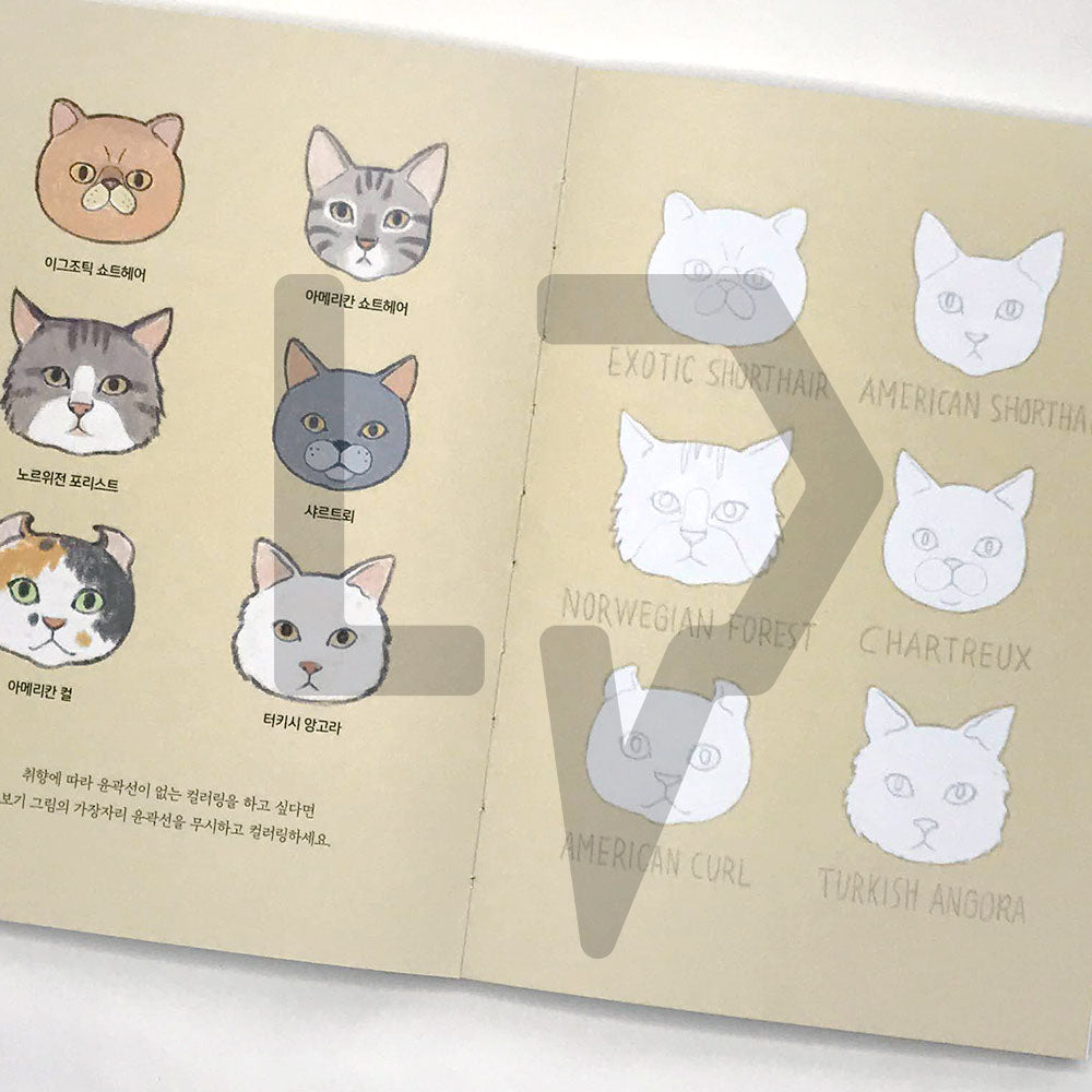 5-Minute Coloring Book Cats 5분 컬러링북 고양이 - Life Pattern Korea