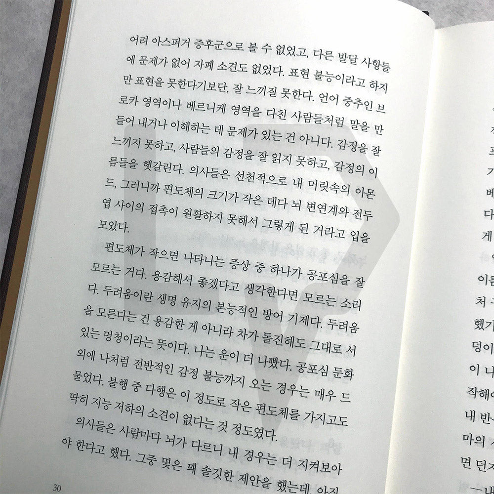 Almond 아몬드 - Life Pattern Korea