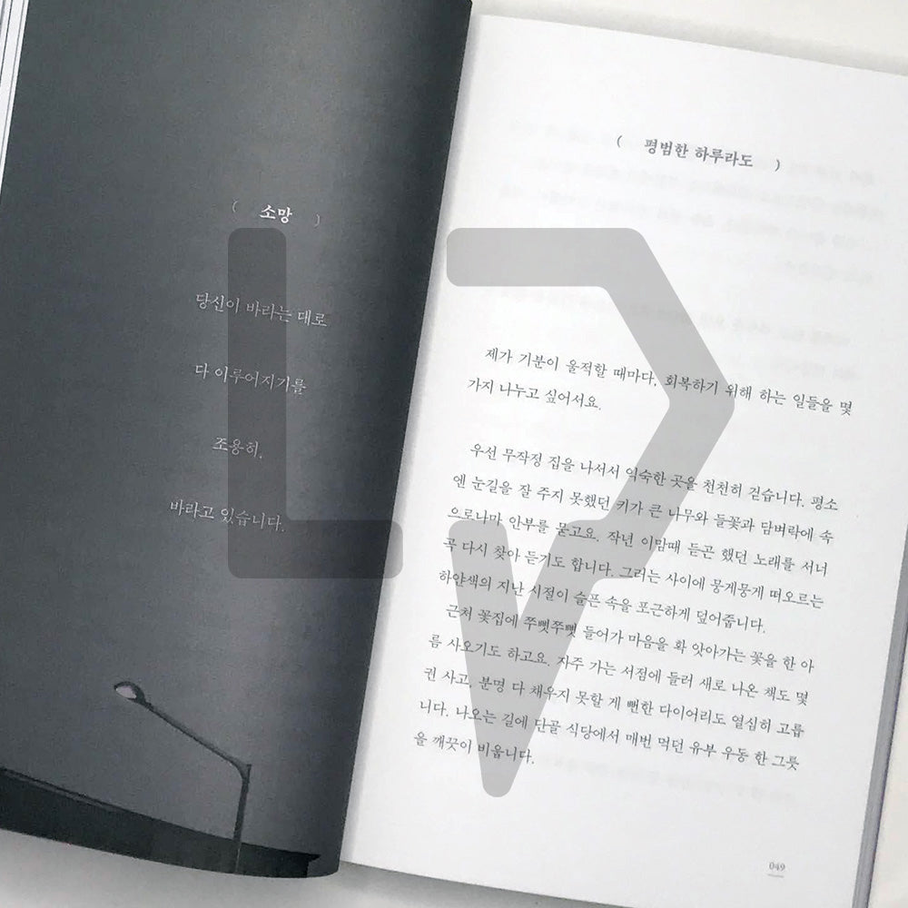 Kindnesses delivered without any reward 아무런 대가 없이 건네는 다정 - Life Pattern Korea