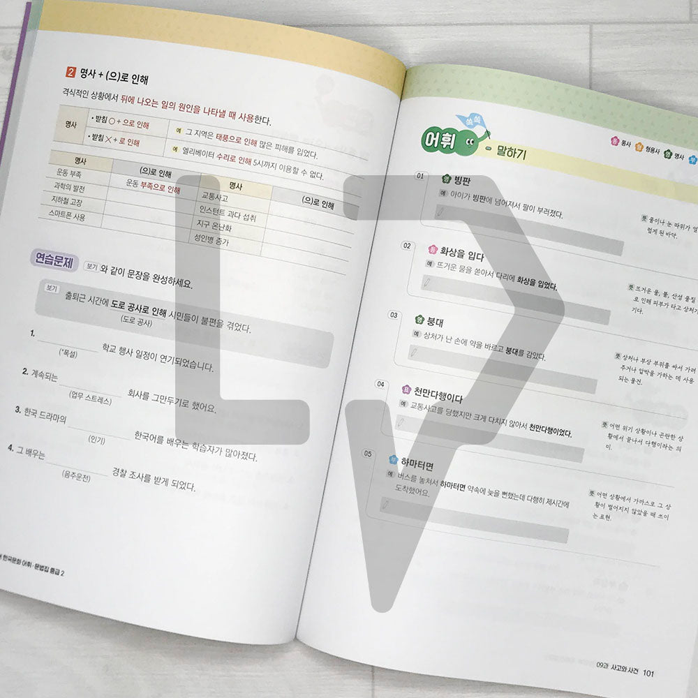 KIIP Korean Language and Culture Intermediate Level 2 Vocabulary & Grammar 한국어 한국문화 어휘 & 문법집 중급 2