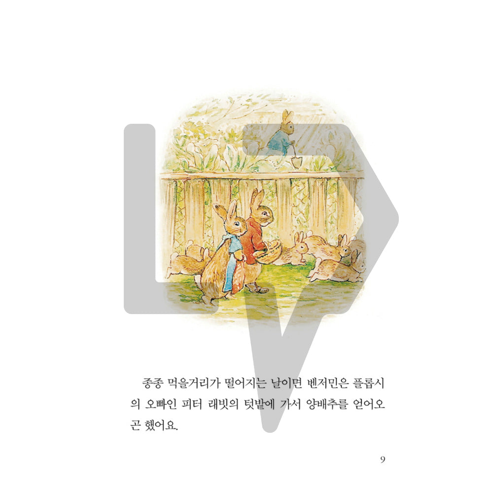 The Tale of Peter Rabbit by Beatrix Potter 피터 래빗 이야기 Vol. 2 - Life Pattern Korea