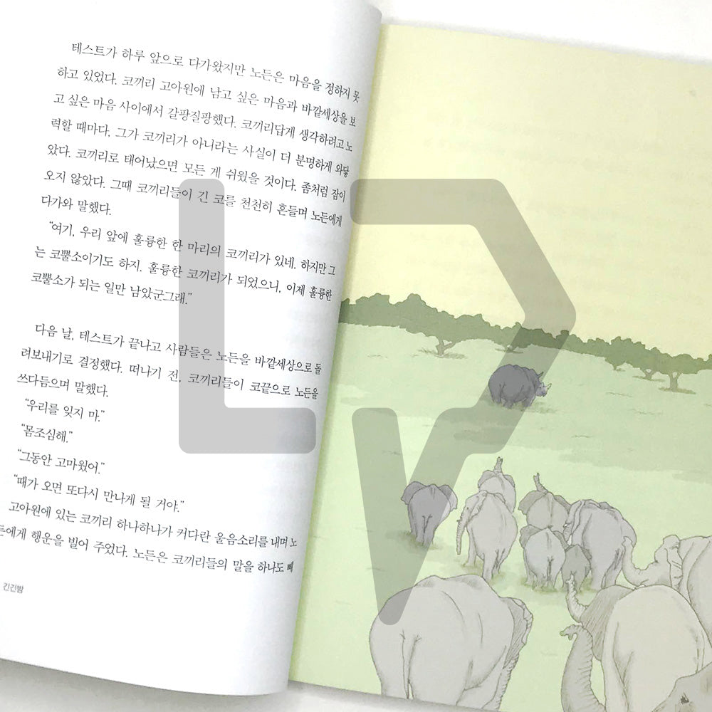 The Long Night 긴긴밤 - Life Pattern Korea