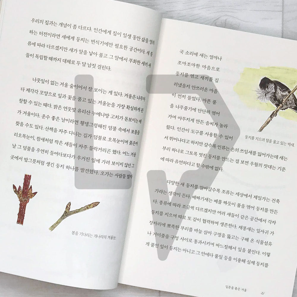 Four Seasons Memory Book 사계절 기억책 - Life Pattern Korea