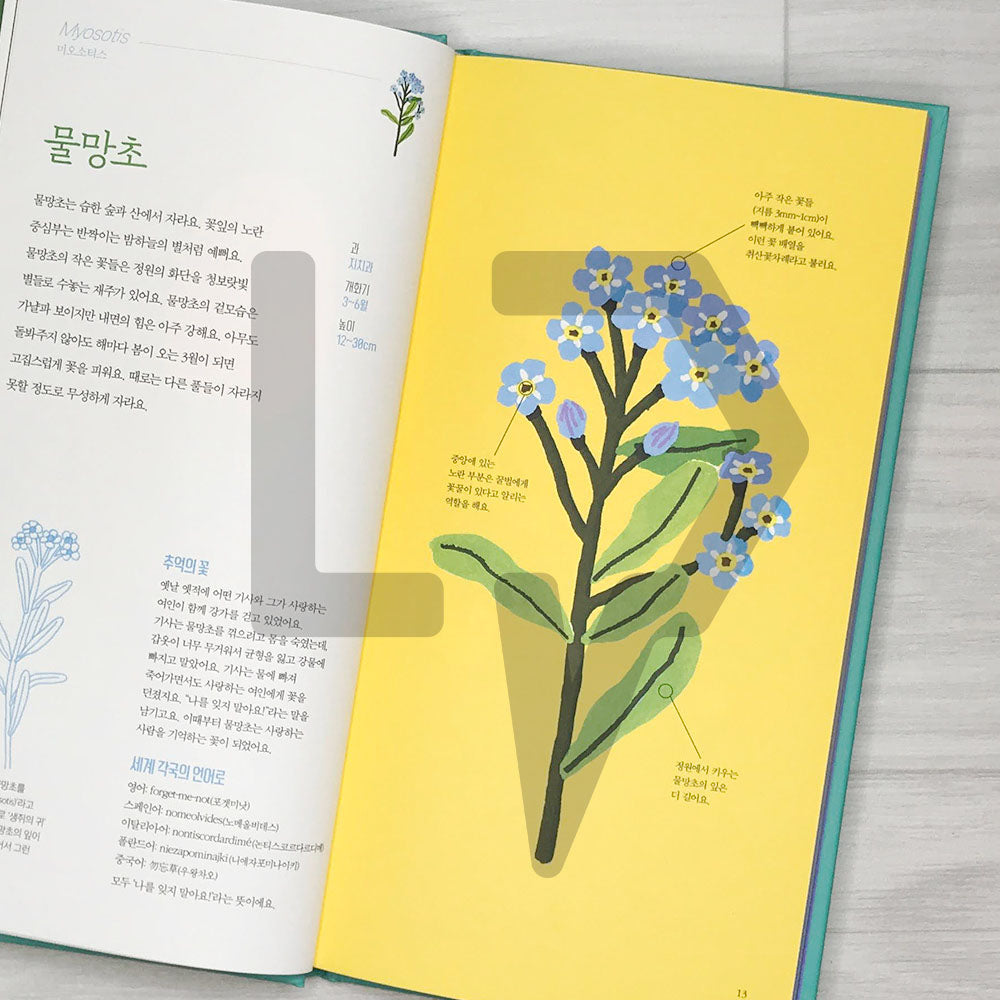 Seasonal Flowers (Fleurs de saison) 꽃의 계절