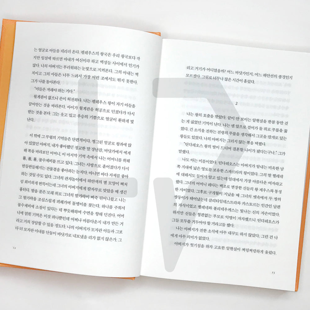 The Song of Achilles by Madeline Miller 아킬레우스의 노래 - Life Pattern Korea