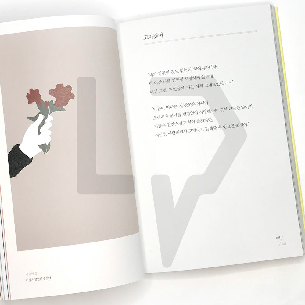 Since there are many reasons, I only say just 이유가 많으니 그냥이라고 할 수밖에 - Life Pattern Korea