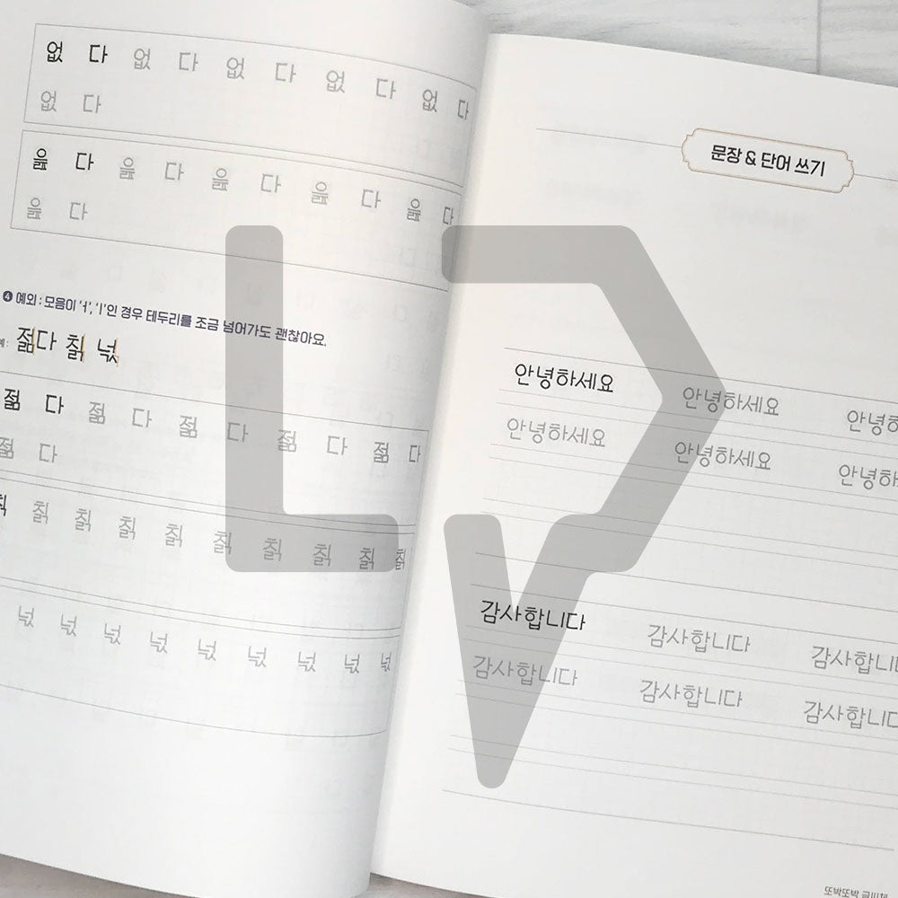 Ddoddan’s Korean Handwriting 또딴체 손글씨 - Life Pattern Korea