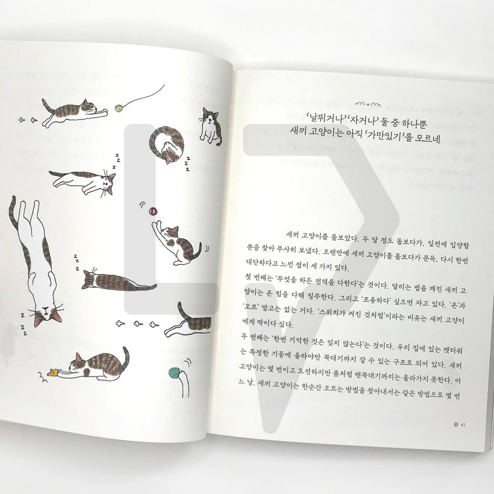 I want to go home where my cats await 고양이가 기다리는 집으로 가고 싶어 - Life Pattern Korea
