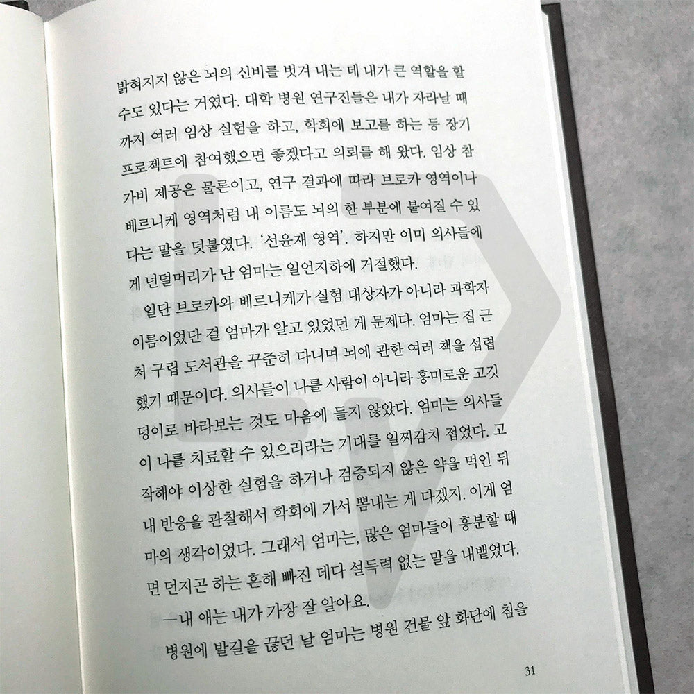 Almond 아몬드 - Life Pattern Korea