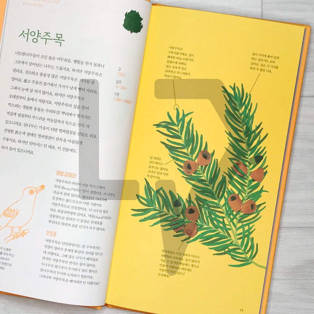 The Place of Trees (Arbres d'ici et d'ailleurs) 나무의 자리