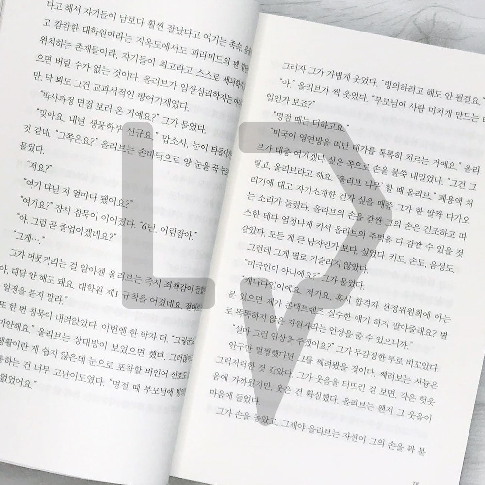 The Love Hypothesis 사랑의 가설