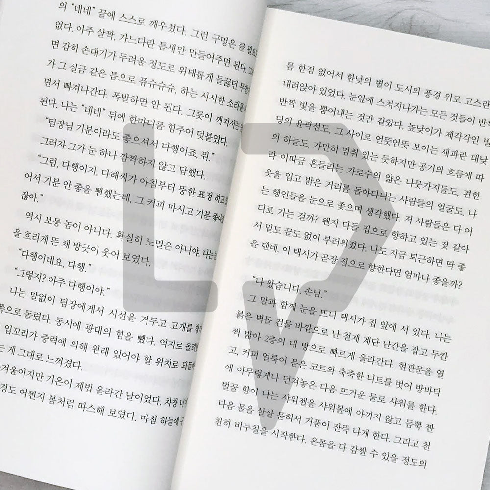 Moonbound (To The Moon) 달까지 가자