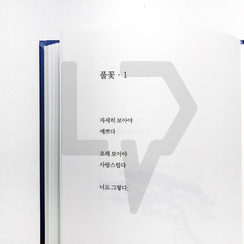 I see you like a flower 꽃을 보듯 너를 본다 - Life Pattern Korea