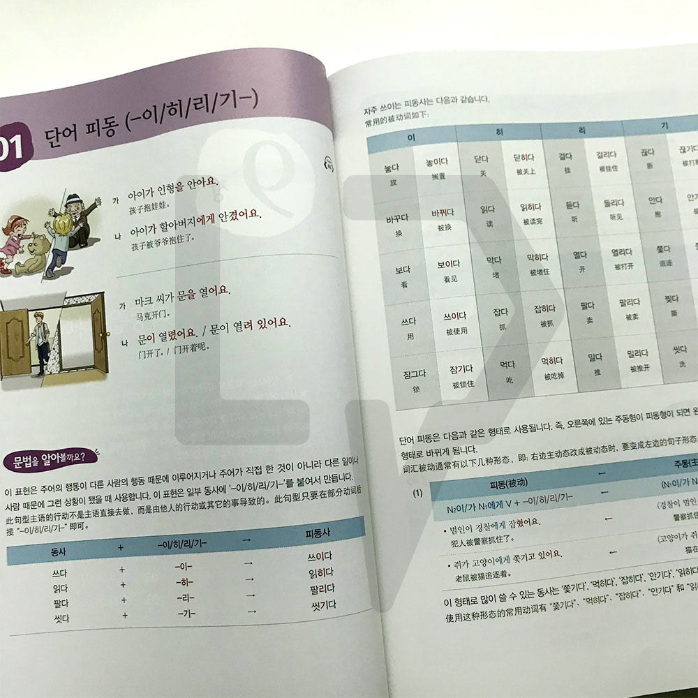 Korean Grammar in Use Intermediate (Chinese) - Life Pattern Korea