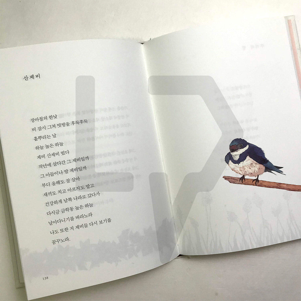 I am inclined a little 마음이 살짝 기운다 - Life Pattern Korea