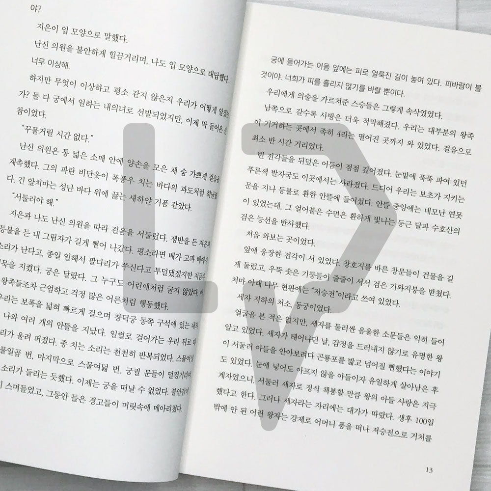 The Red Palace 붉은 궁