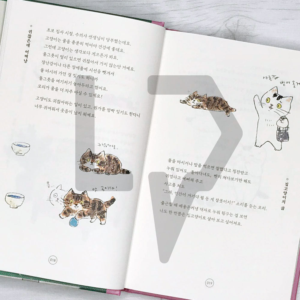 To tell you the charm of cats 고양이의 매력으로 말할 것 같으면 - Life Pattern Korea