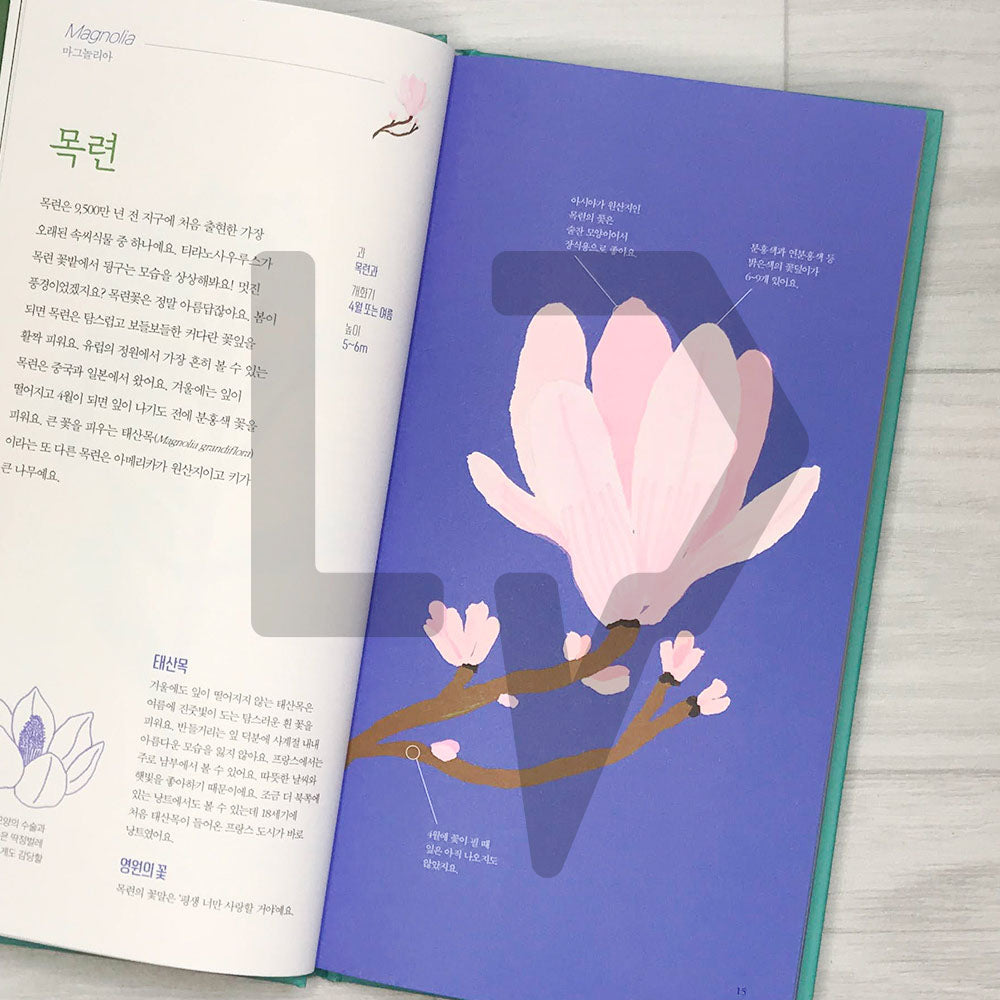 Seasonal Flowers (Fleurs de saison) 꽃의 계절