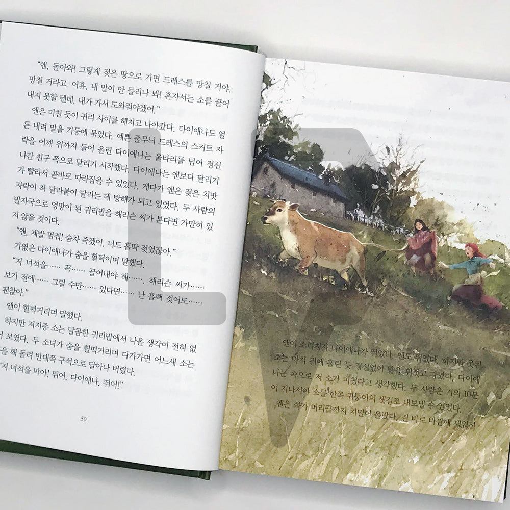 Anne of Avonlea 에이번리의 앤 - Life Pattern Korea