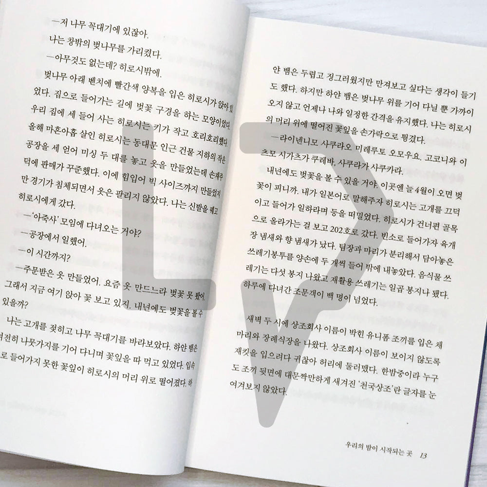 Where our night begins 우리의 밤이 시작되는 곳 - Life Pattern Korea