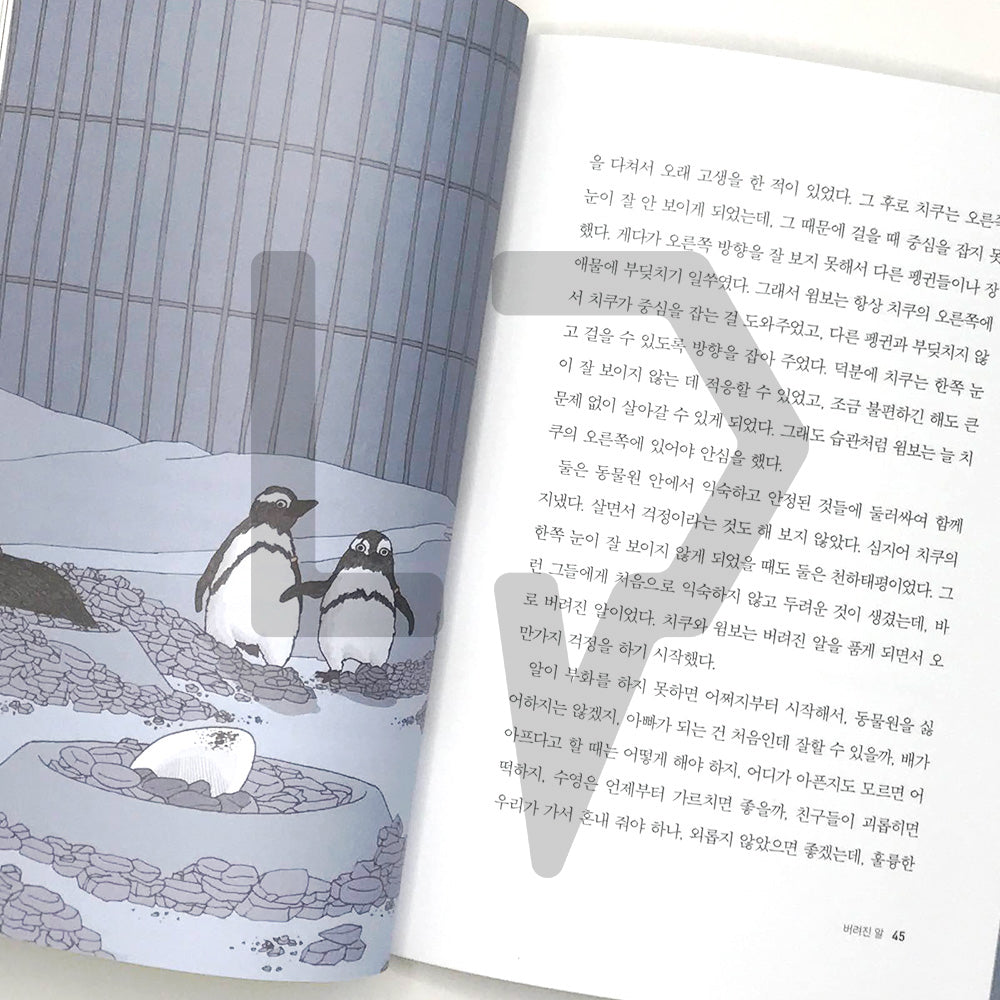 The Long Night 긴긴밤 - Life Pattern Korea