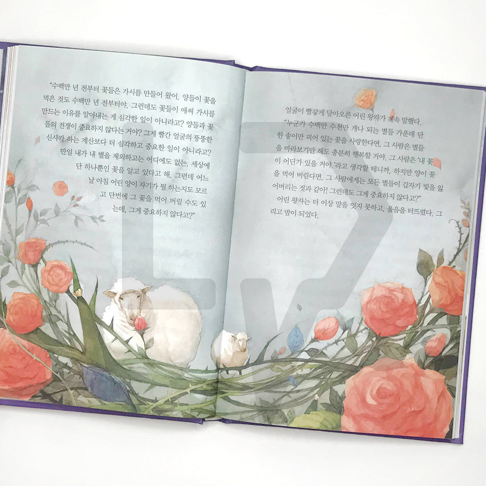 The Little Prince 어린 왕자 - Life Pattern Korea