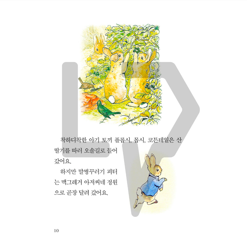 The Tale of Peter Rabbit by Beatrix Potter 피터 래빗 이야기 Vol. 1