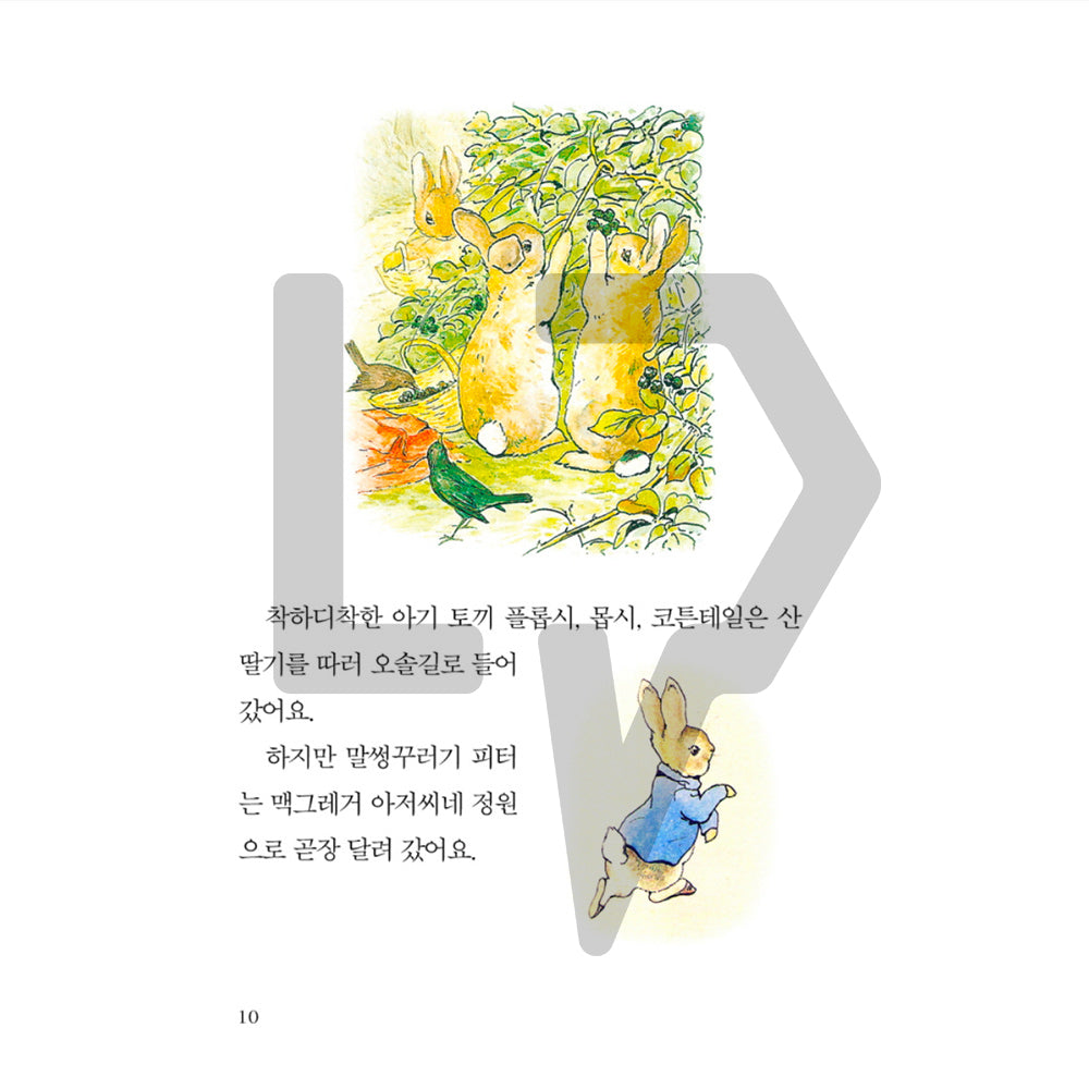 The Tale of Peter Rabbit by Beatrix Potter 피터 래빗 이야기 Vol. 1 - Life Pattern Korea
