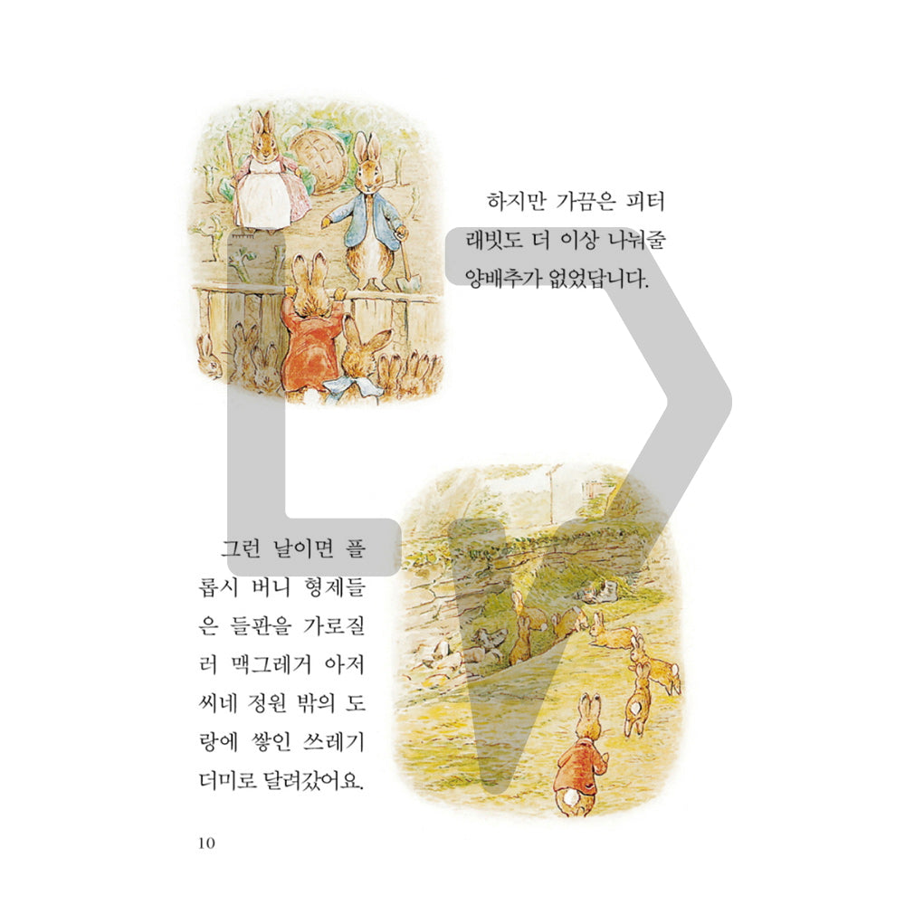 The Tale of Peter Rabbit by Beatrix Potter 피터 래빗 이야기 Vol. 2 - Life Pattern Korea