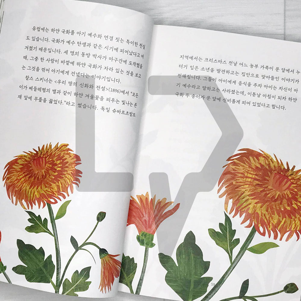 Floriography 꽃말의 탄생 - Life Pattern Korea