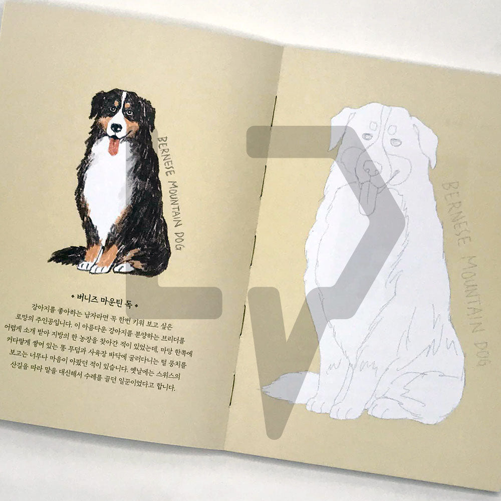 5-Minute Coloring Book Dogs 5분 컬러링북 강아지 - Life Pattern Korea