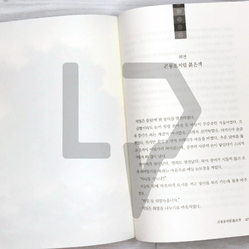 The Red Sleeve 옷소매 붉은 끝동 2022 Revised Vol. 2 - Life Pattern Korea