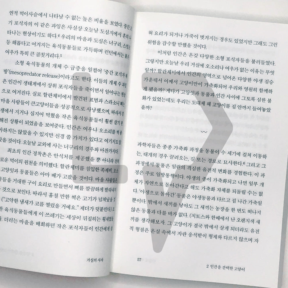 The Lion in the Living Room 거실의 사자 - Life Pattern Korea