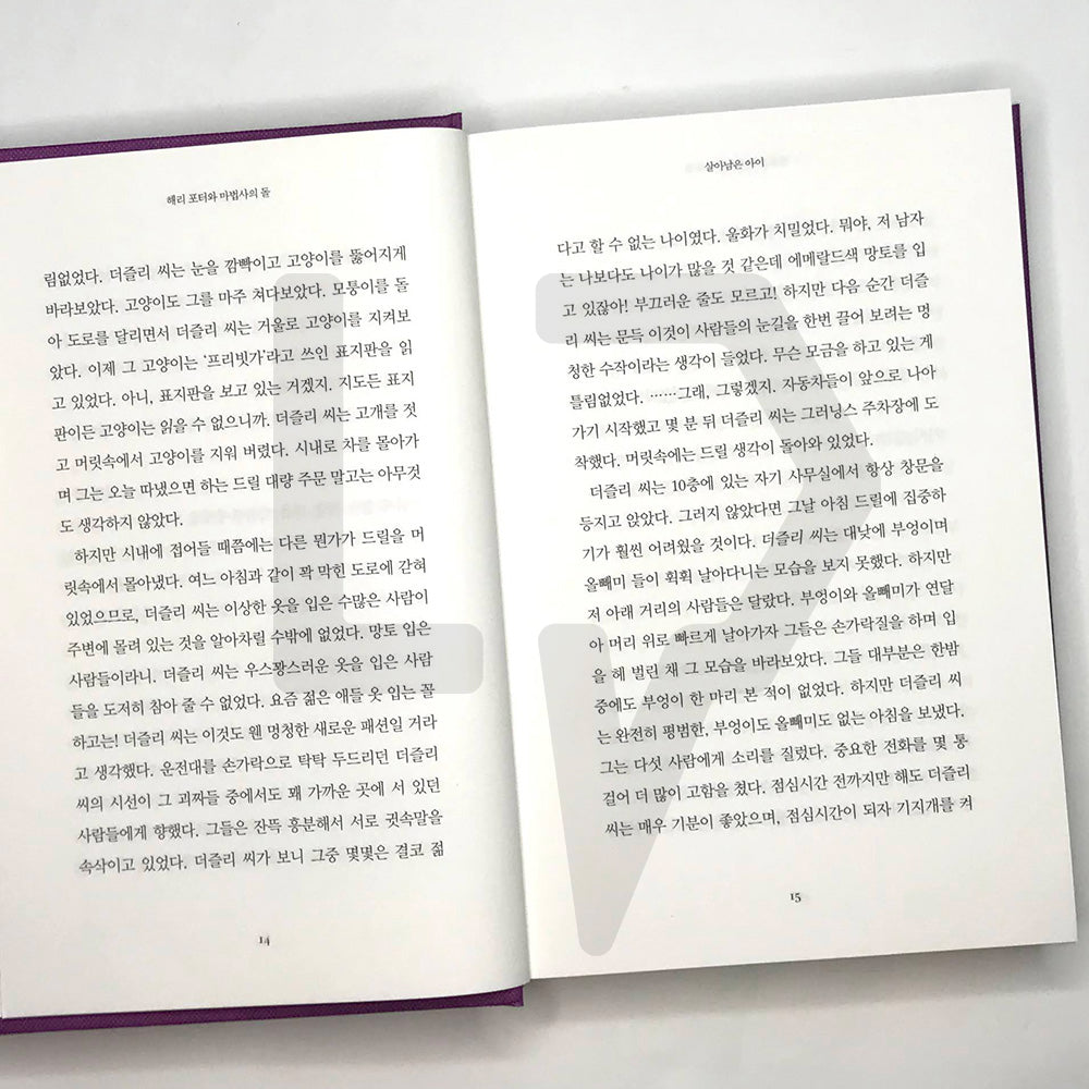 Harry Potter and the Sorcerer's Stone (20th Anniversary) 해리 포터와 마법사의 돌 (20주년 개정판)