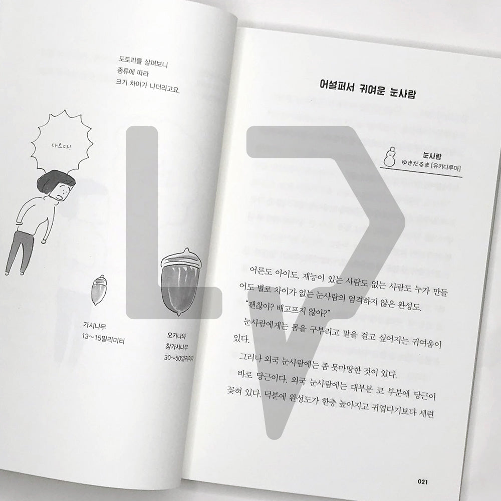 Cuteness Travelogue 귀여움 견문록 - Life Pattern Korea