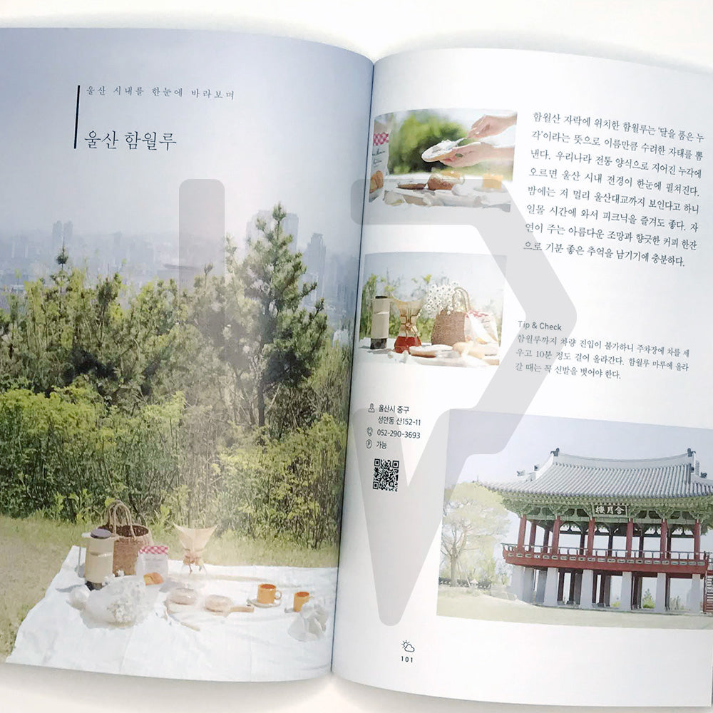 Picnic: Greeting the fresh green and refreshing breeze 피크닉 - Life Pattern Korea