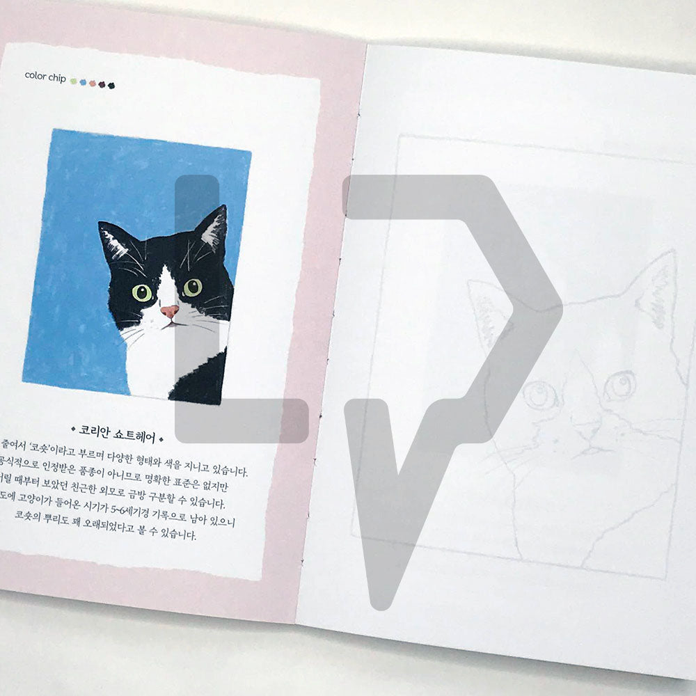 5-Minute Coloring Book Cats 5분 컬러링북 고양이 - Life Pattern Korea