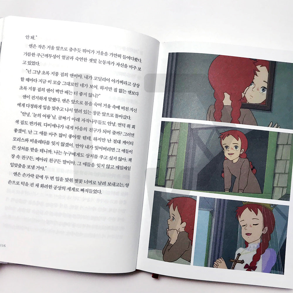 Anne of Green Gables 빨강 머리 앤 - Life Pattern Korea