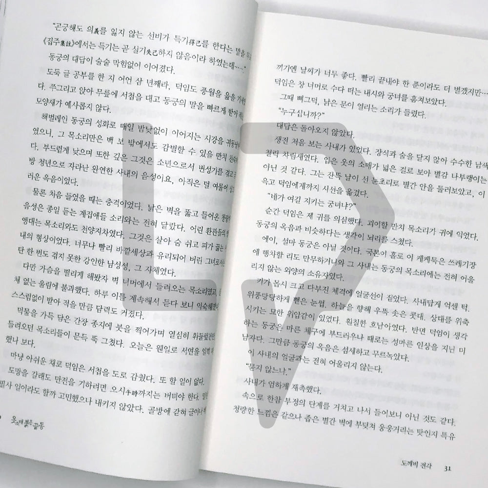 The Red Sleeve 옷소매 붉은 끝동 Vol. 1 - Life Pattern Korea