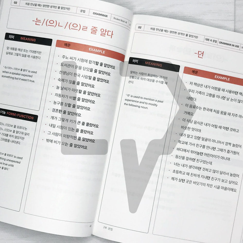 Sejong Korean Vocabulary & Grammar Book 세종한국어 어휘 표현과 문법 4B (2022 Edition)
